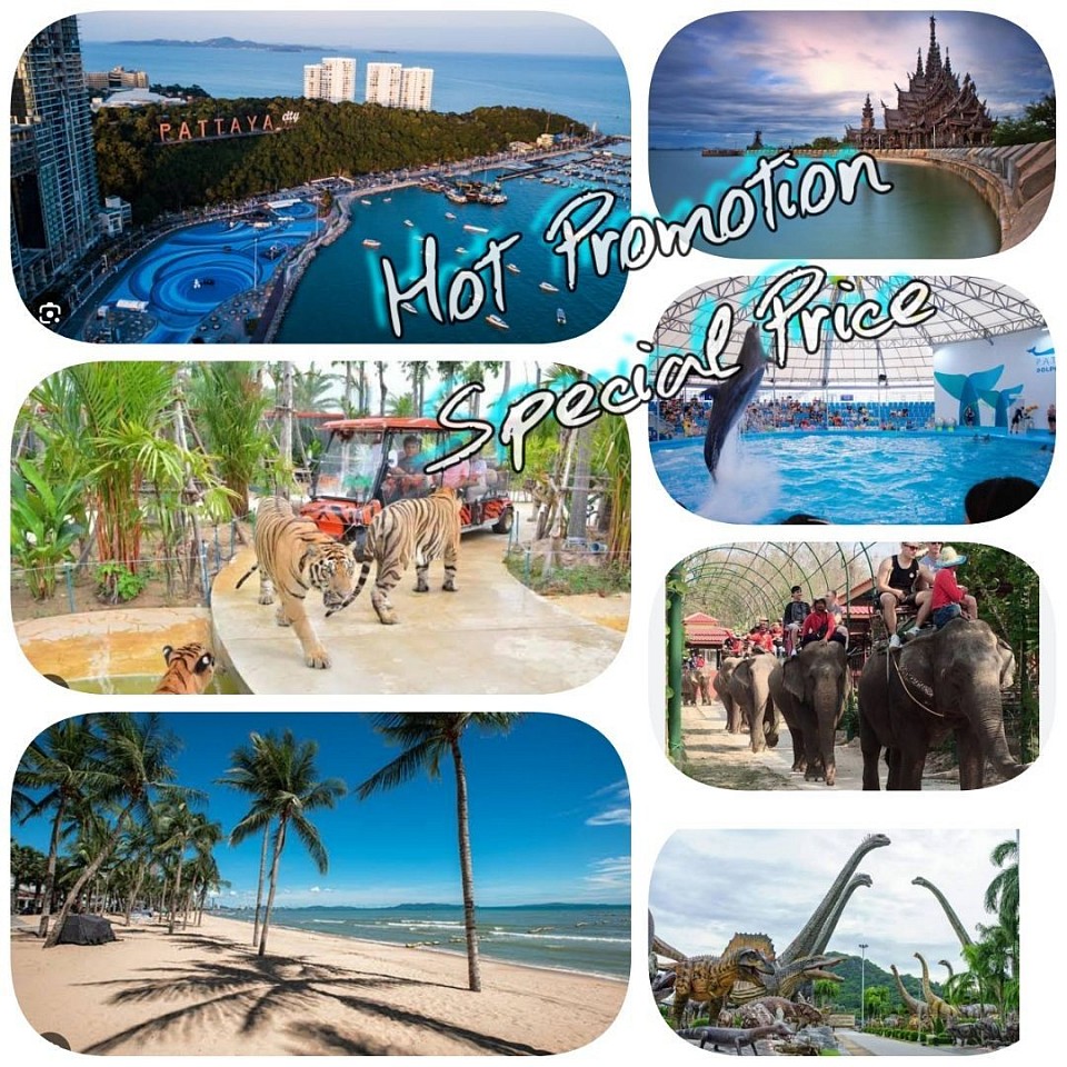 Pattaya City (Special price for tours this location)