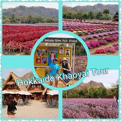 Hokkaido flower park Khaoyai