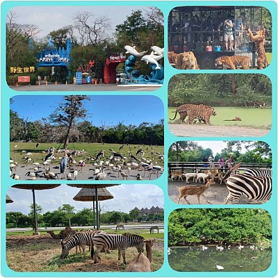 Safari world